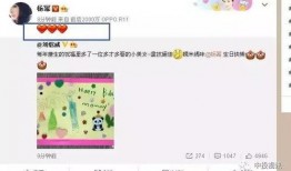 娱乐半吃瓜现场,揭秘明星幕后故事