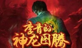 神龙李青爆料视频大全最新,揭秘娱乐圈幕后真相